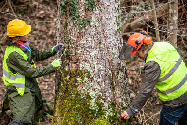 Best Tree Risk Assessment  in Butler Beach, FL